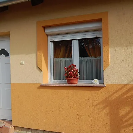 Mediterrán